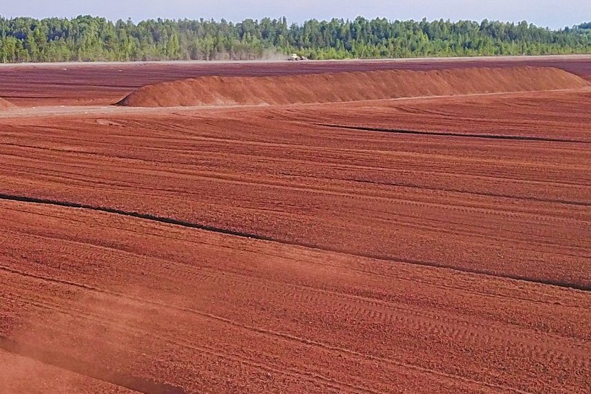 Raw Baltic peat